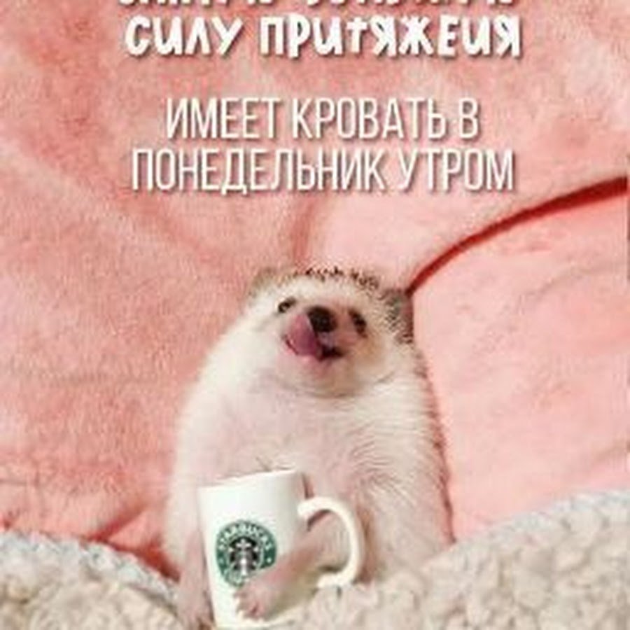 С добрым утром понедельника креативные