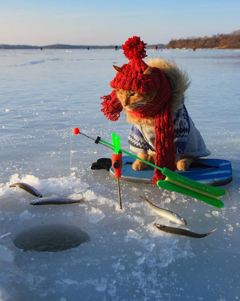 Снеговик на рыбалке