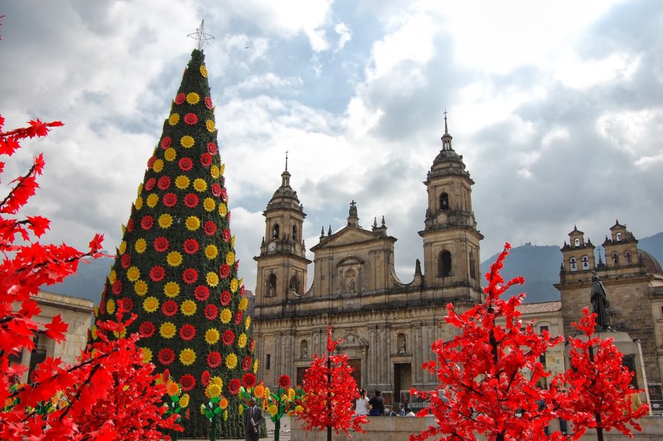 Рождество в Боготе Колумбия