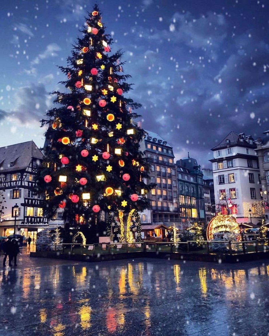 Католическое Рождество в Страсбурге