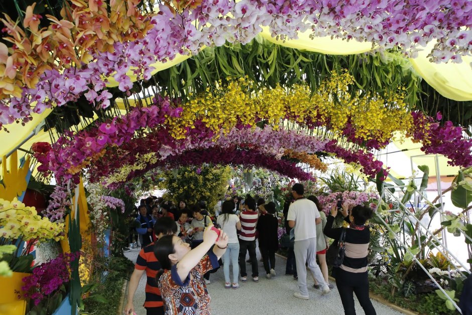 Корейский фестиваль цветов