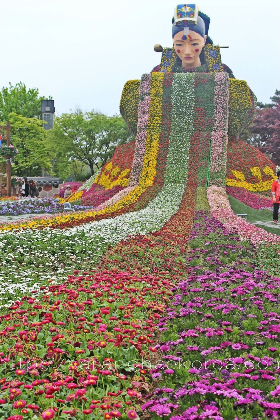 Фестиваль цветов в Южной Кореи в тианин 2021г