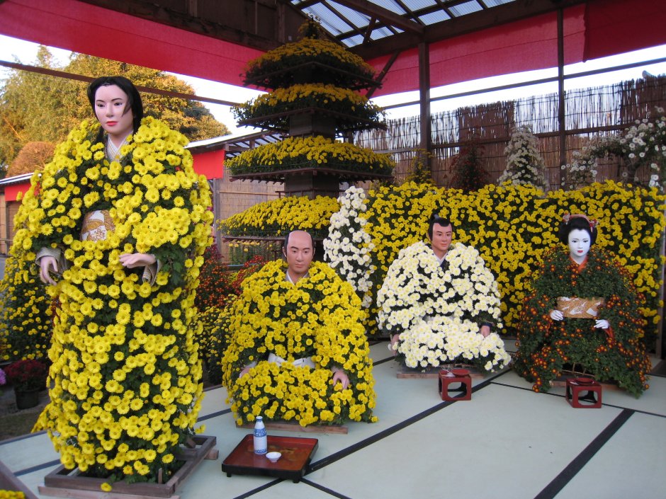 Праздник хризантем (Кику-но сэкку) в Японии