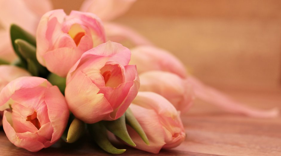 С днём рождения нежные тюльпаны