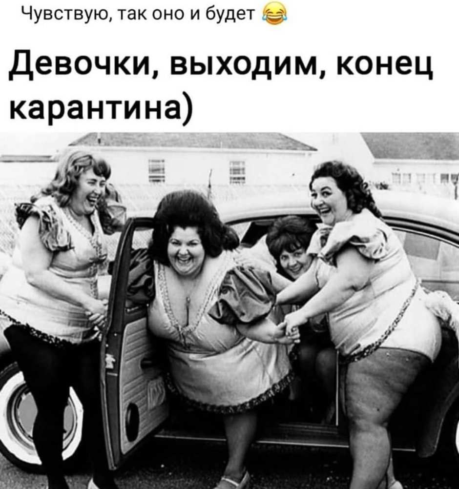 Четыре толстые женщины
