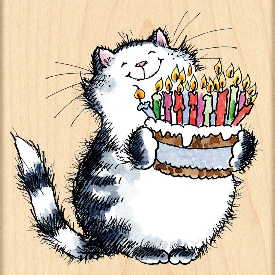 Котик поздравляет с днем рождения