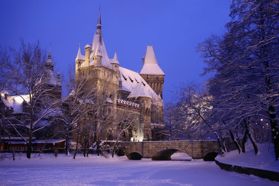 Венгрия замок Вайдахуняд зимой