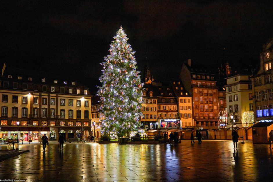 Рождественская ель Страсбург 1775