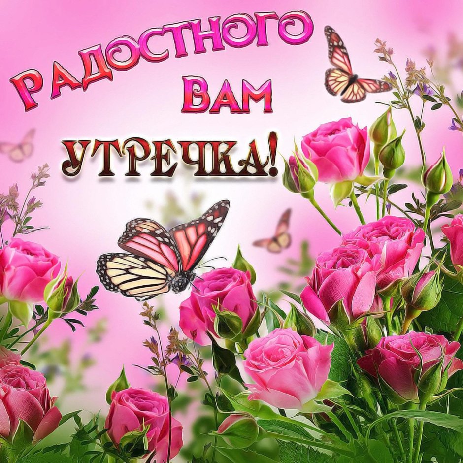 Розовые цветы