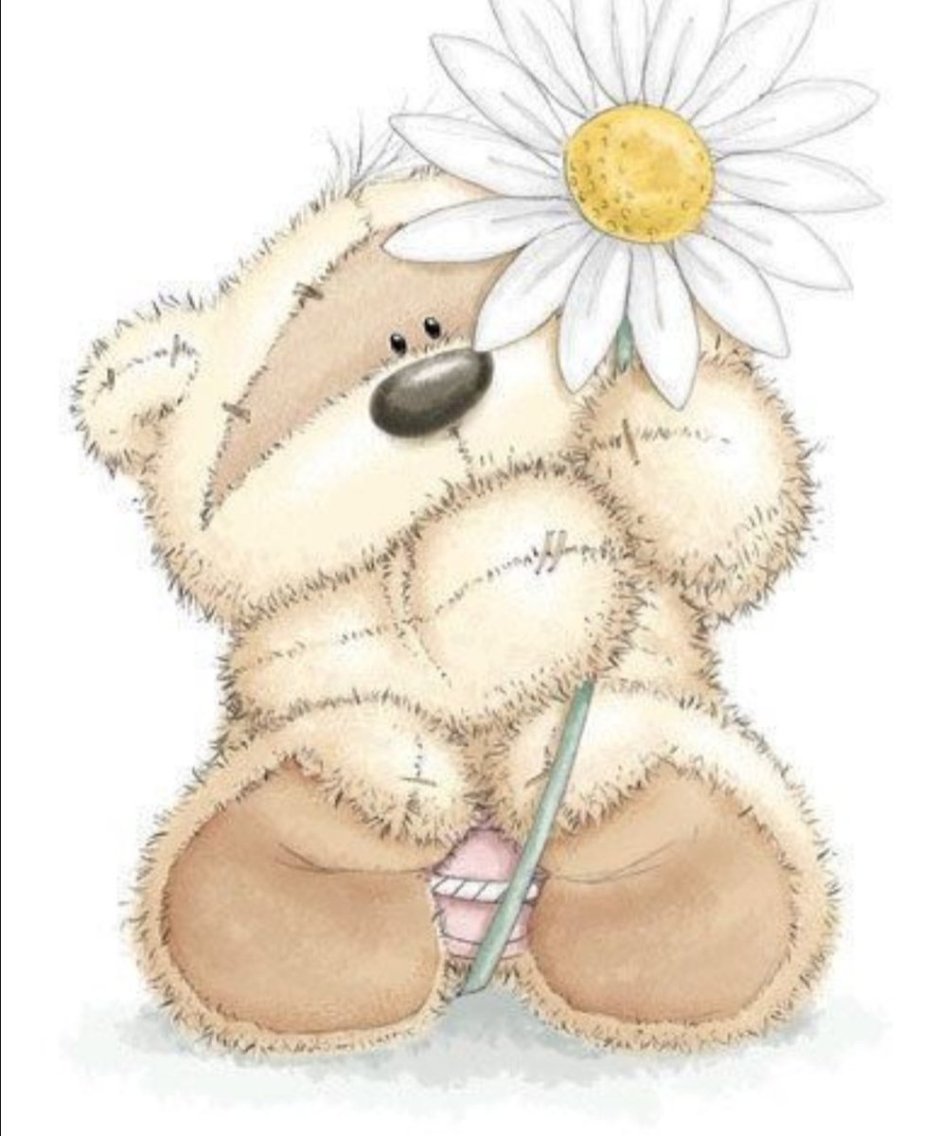 Медвежонок Тедди с цветами