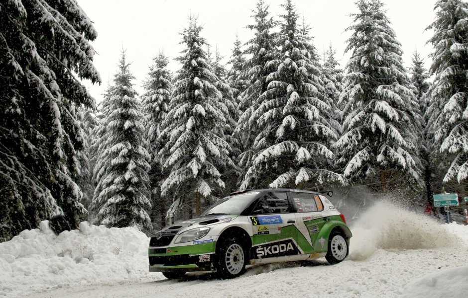 Шкода Fabia WRC
