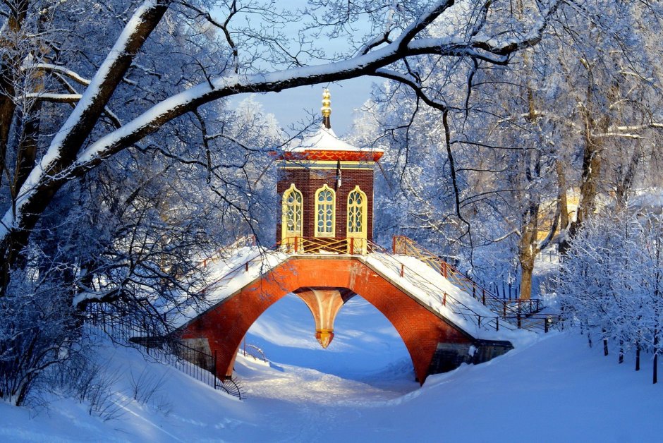Александровский парк Царское село зимой