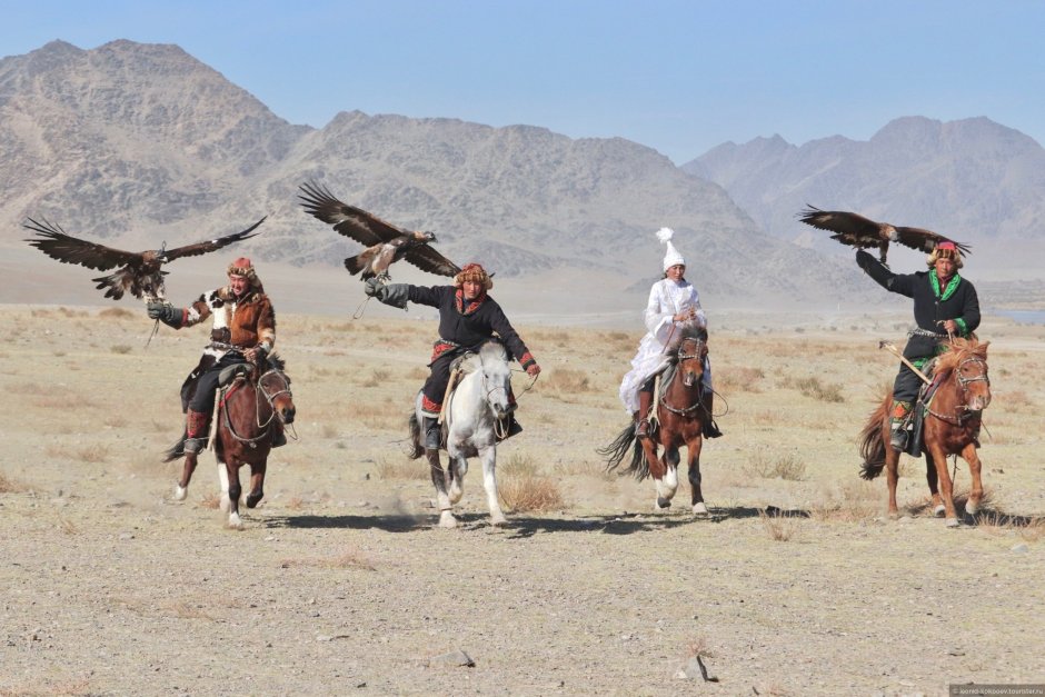 Монголия Орлиная охота
