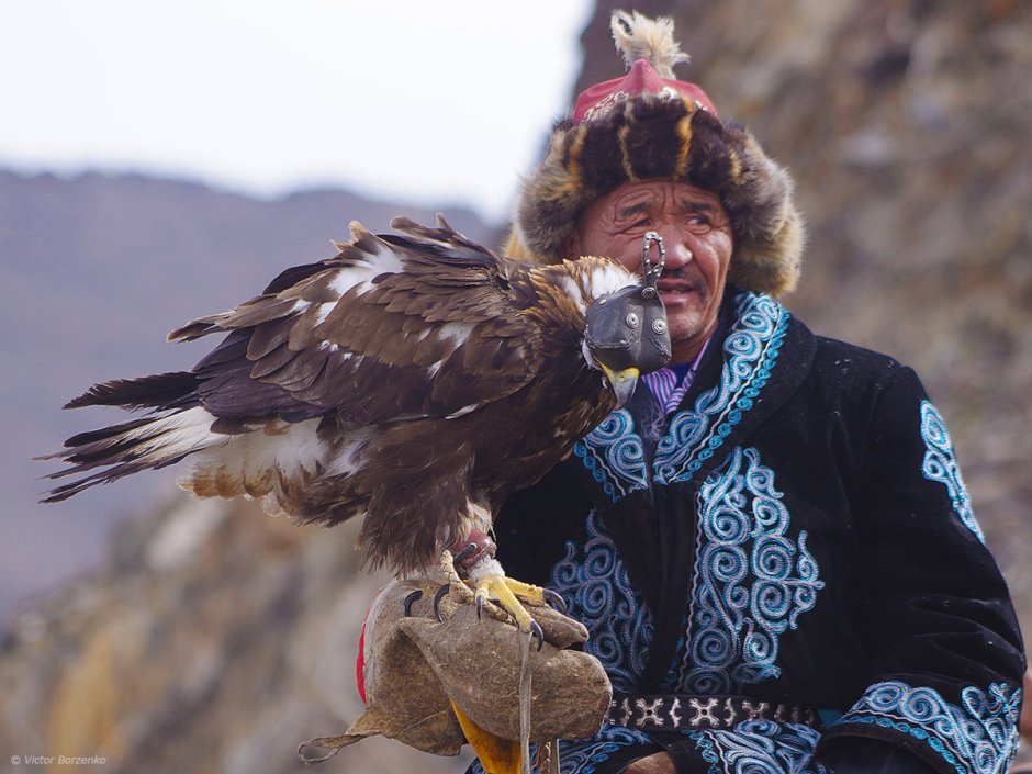 Беркутчи Монголия