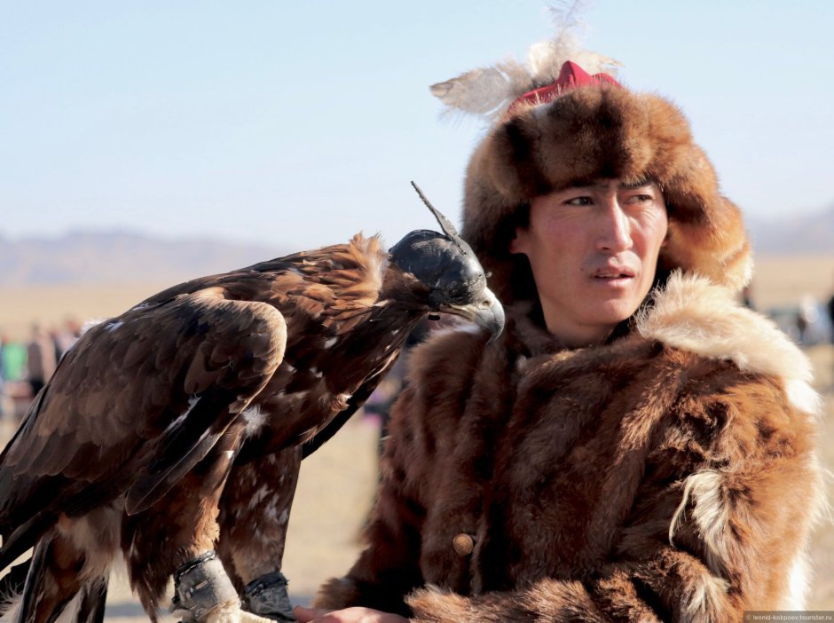 Соколиная охота в Монголии