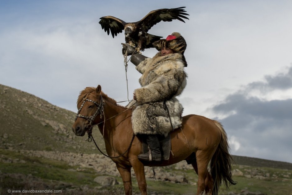 Фестиваль охотников с беркутами в Монголии