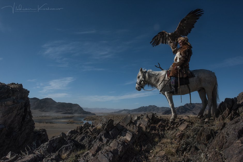 Праздник беркутчи в Монголии