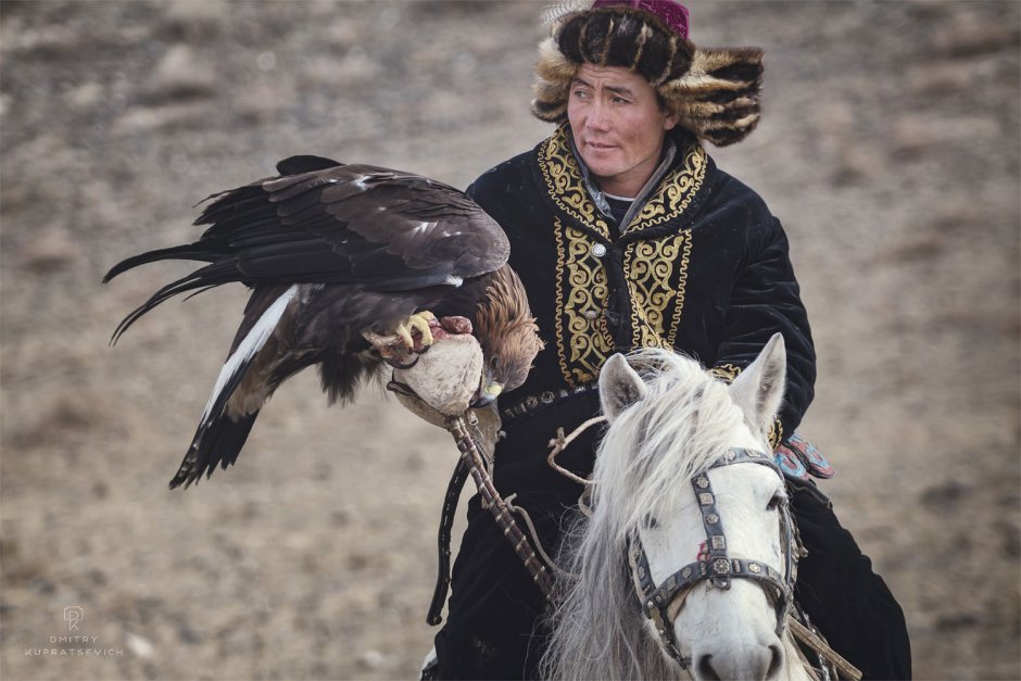 Монголия кочевники степей