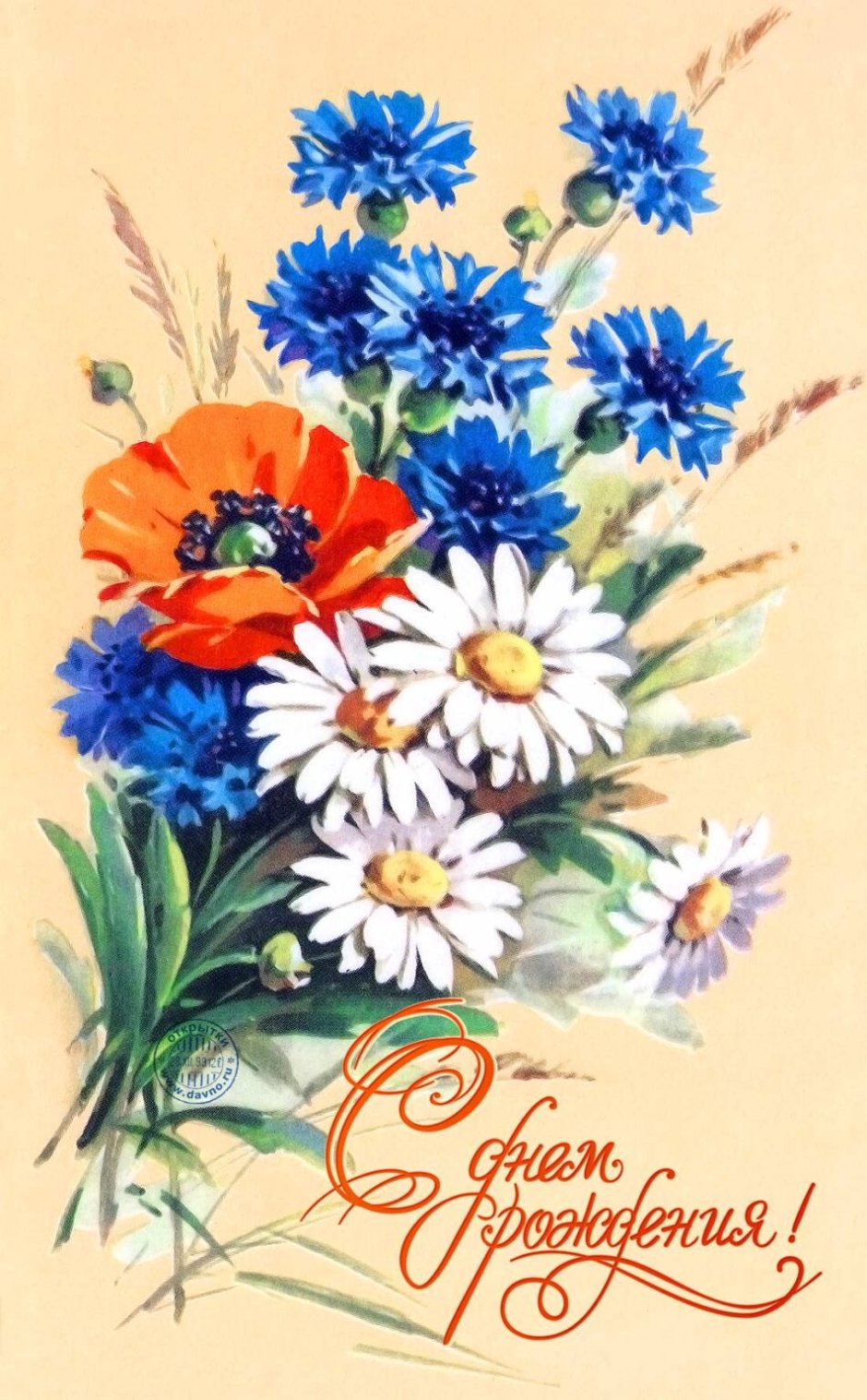 Поздравительные открытки с полевыми цветами
