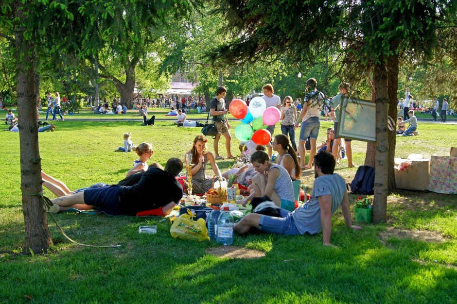 Пикник в парке Горького Москва