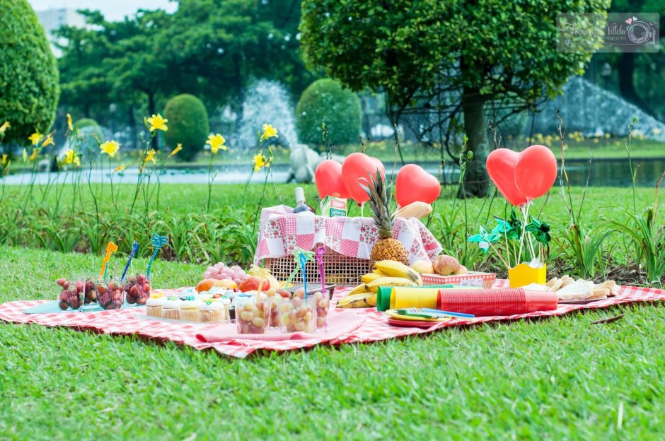 Пикник на день рождения ребёнка 2 лет на природе