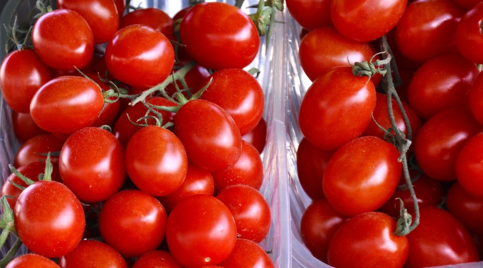 Праздник томатов в Испании