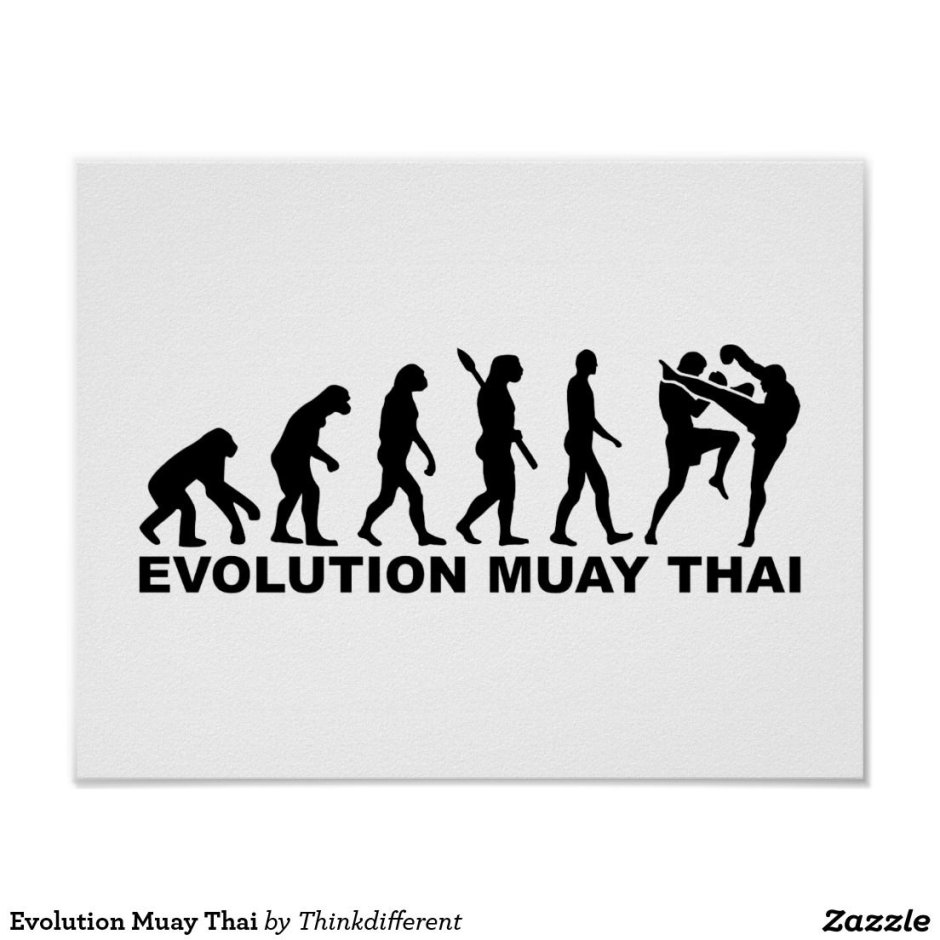 Эволюция Муай Тай