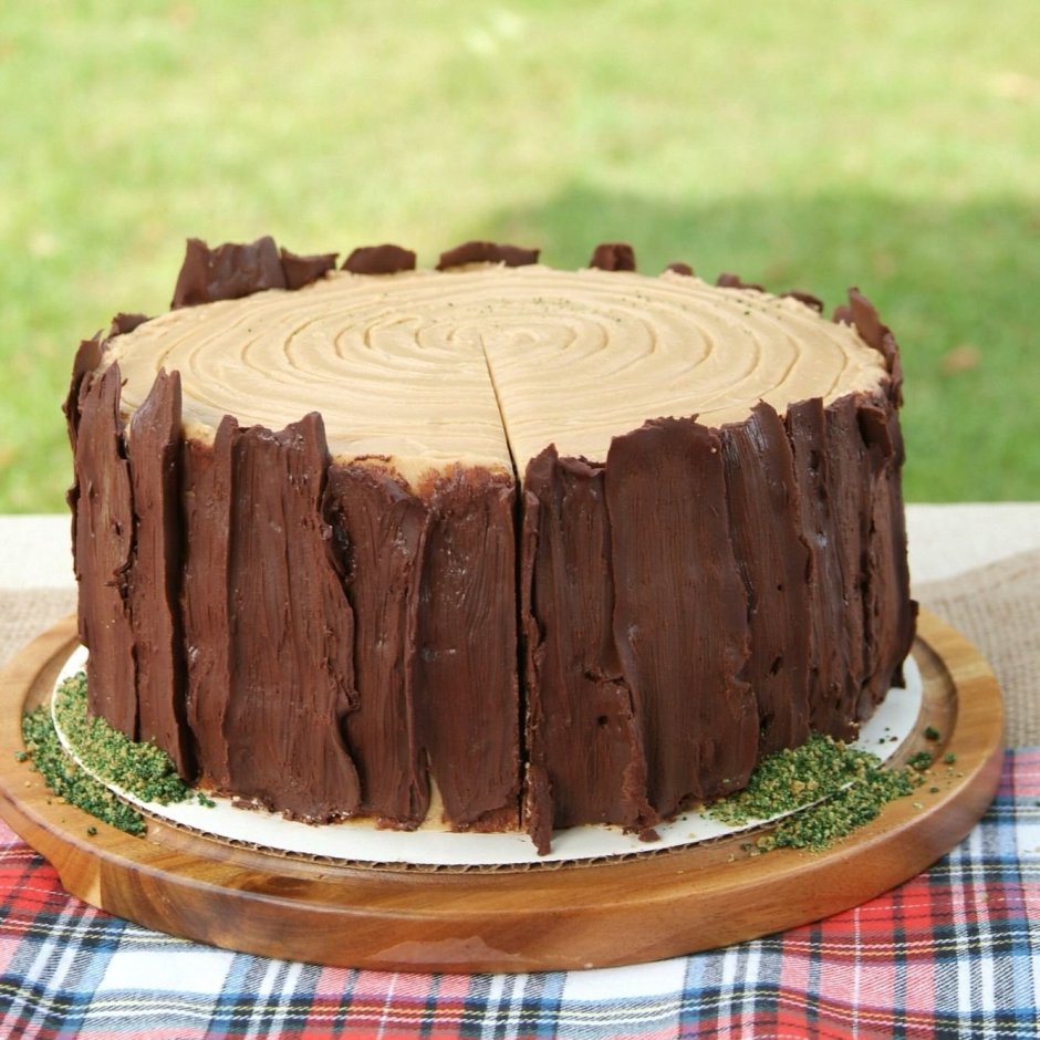 Шоколадный торт Трухлявый пень