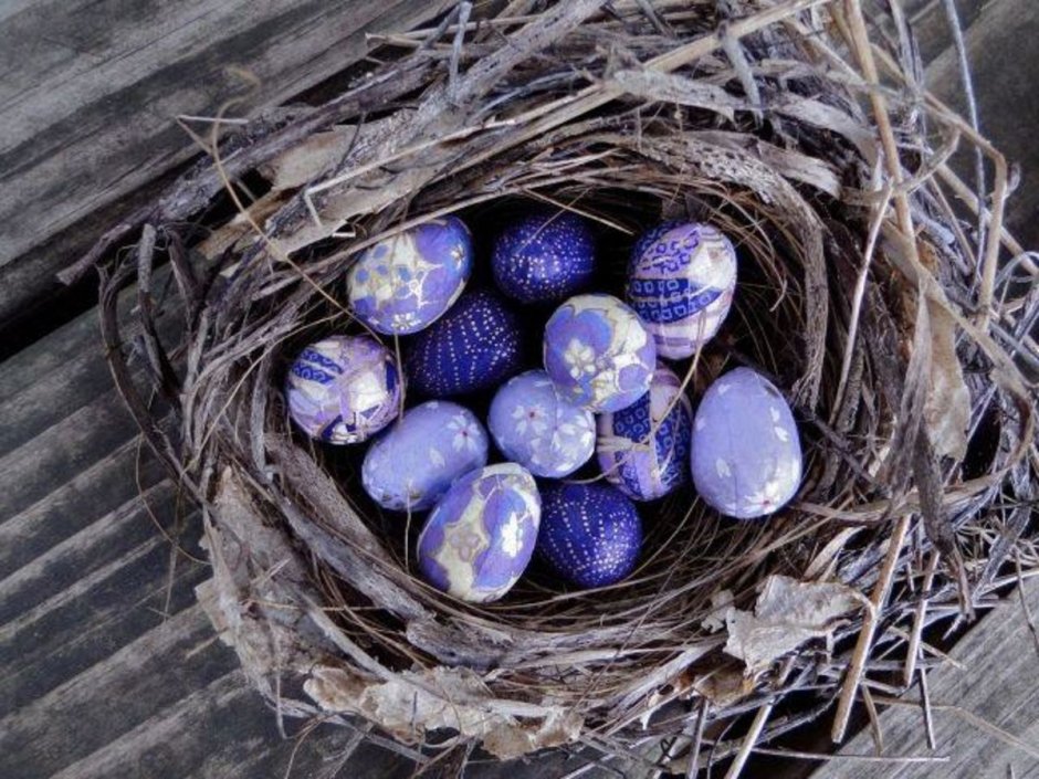 Фиолетовые яйца