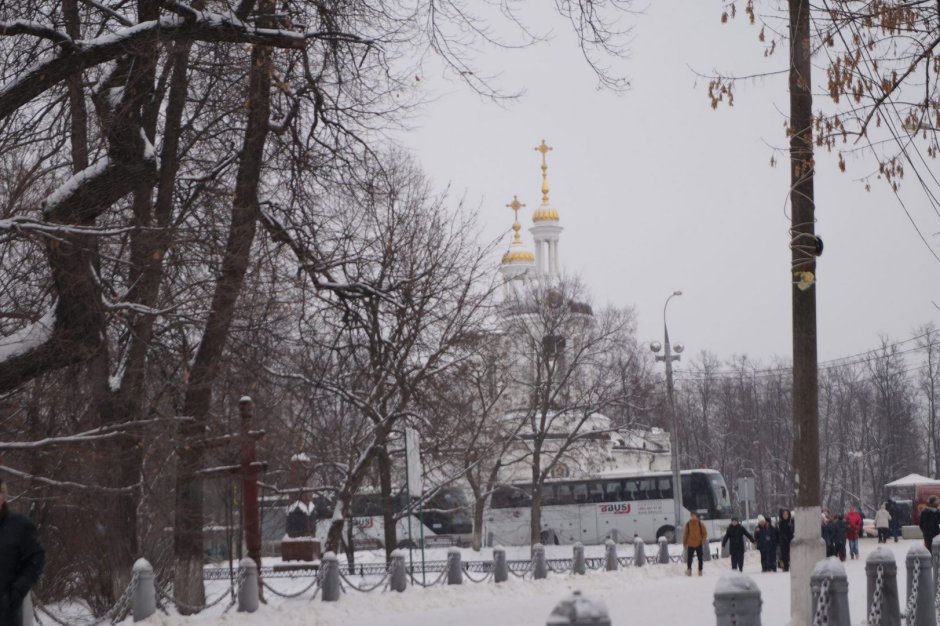 Парк Кузьминки Москва зимой