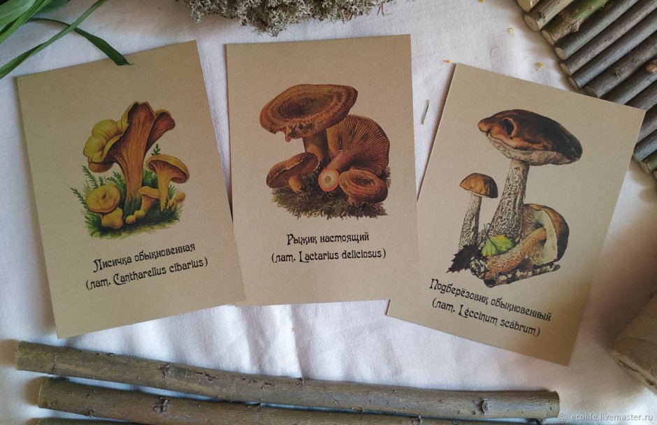 Новогодние открытки с грибами