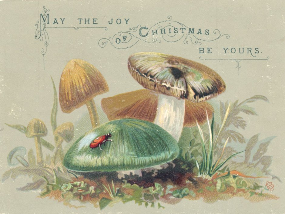 Victorian Christmas Mushroom