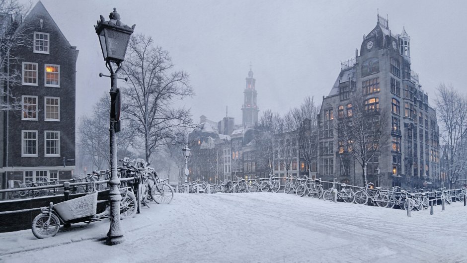 Амстердам Нидерланды зимой
