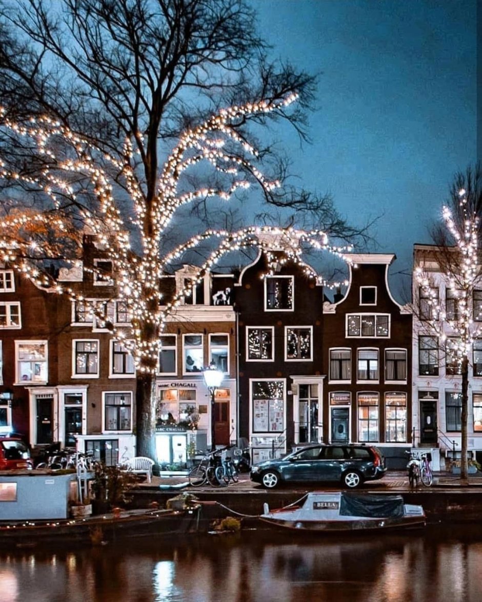 Голландия зимой
