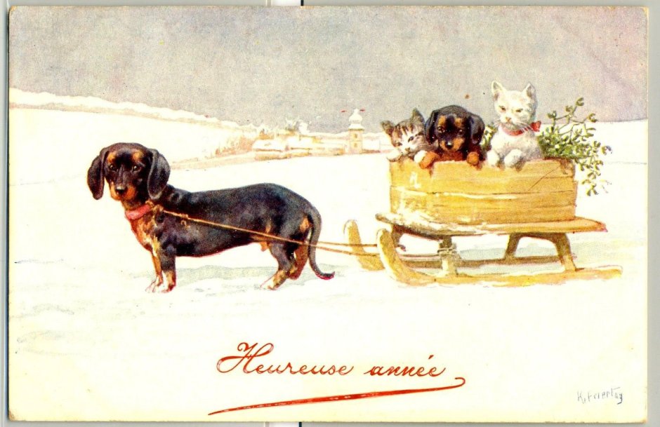 Старинные открытки с собачками
