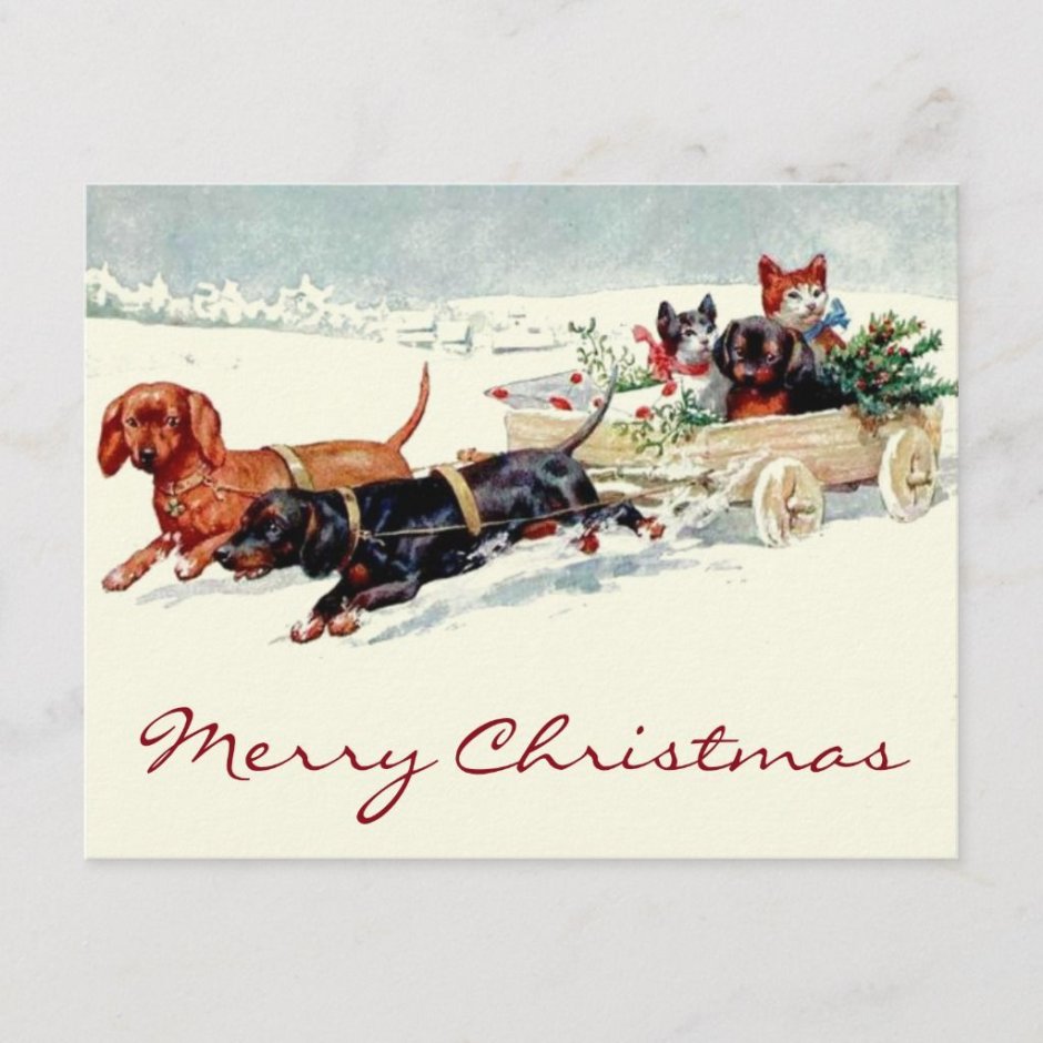 Рождественская открытка с собакой ретро