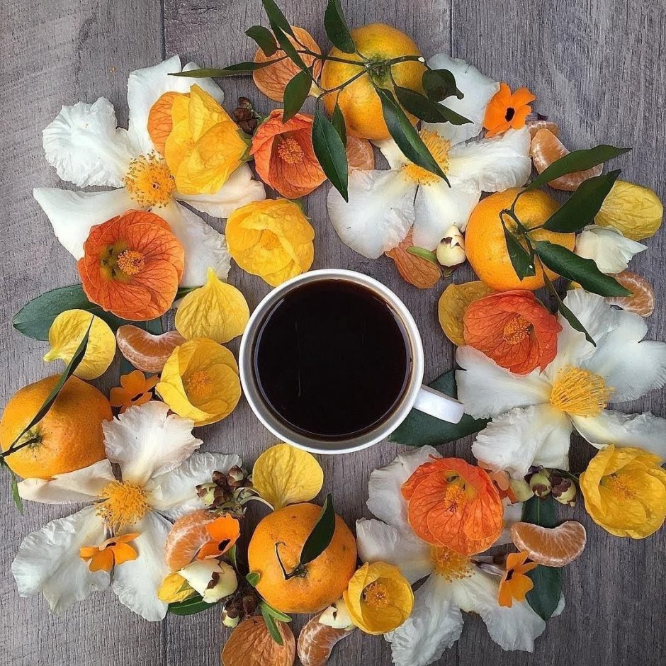 Цветок кофе апельсин