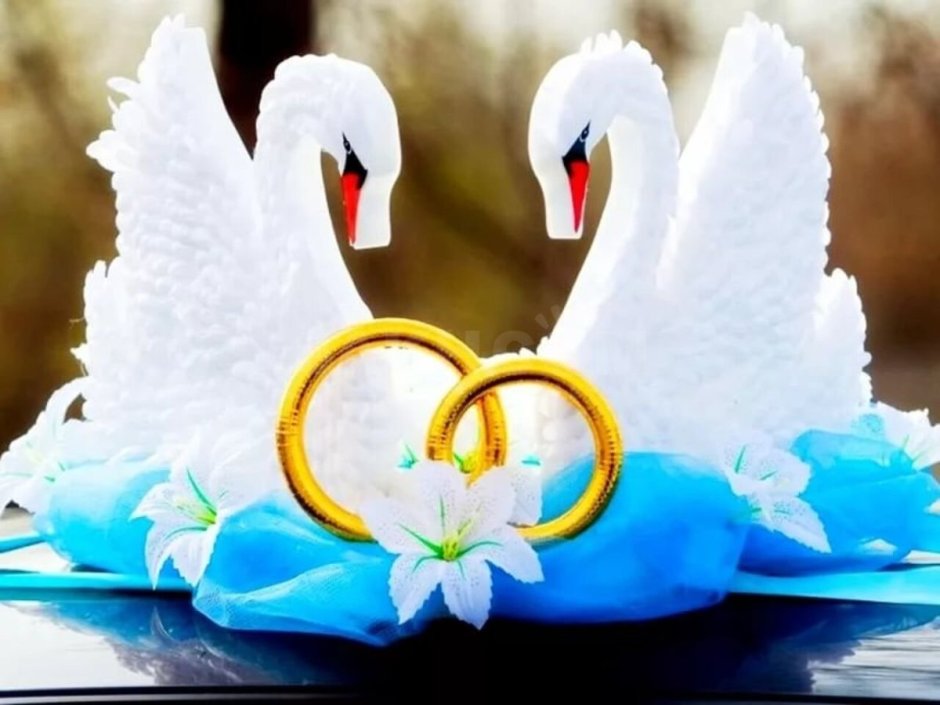 Бракосочетание лебеди