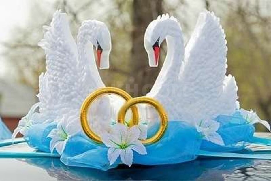 Свадебные лебеди