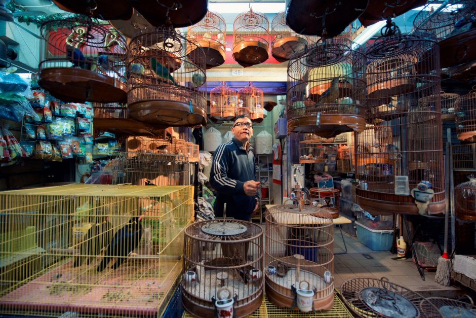 Птичий рынок в Ереване