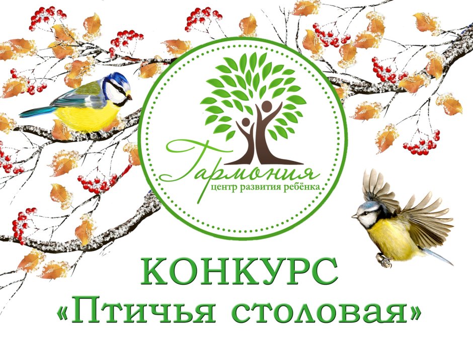 Птичий рынок в Кропоткине 27 11 2022