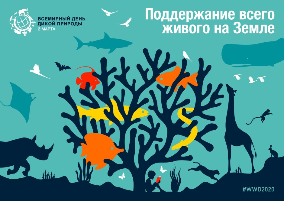 Плакат Всемирный день дикой природы