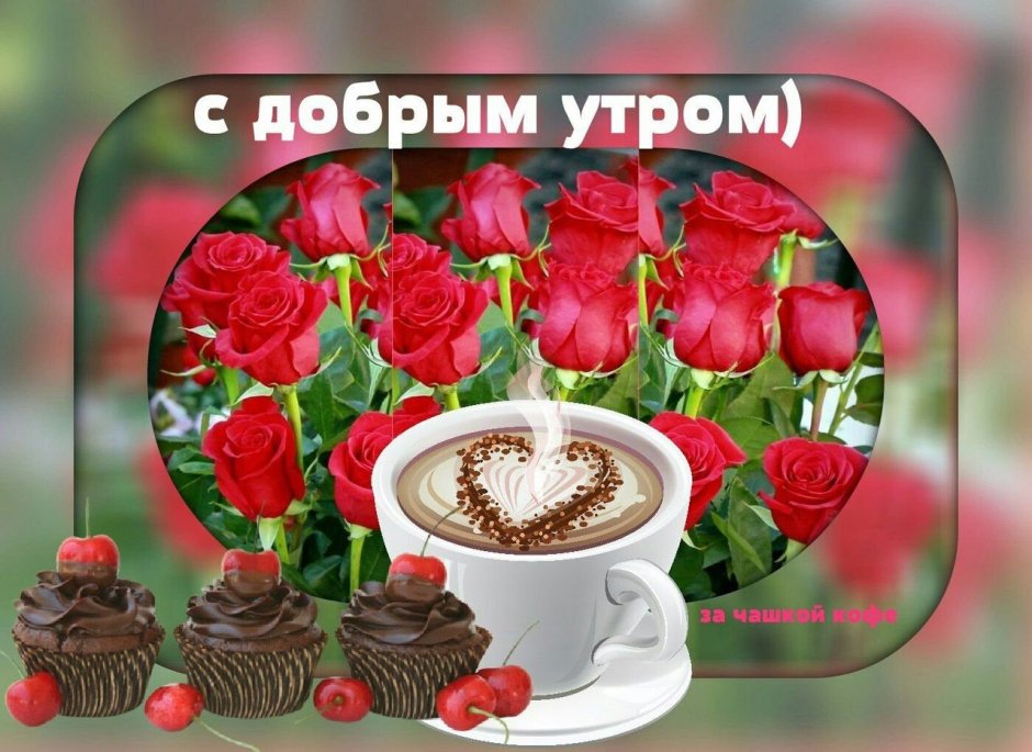 Поздравление с добрым утром с розами