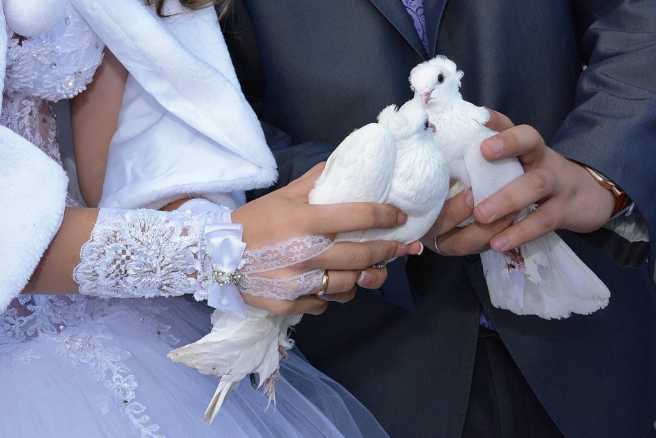 Голубки на свадьбу