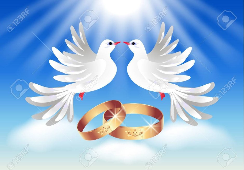 Свадьба кольца голуби