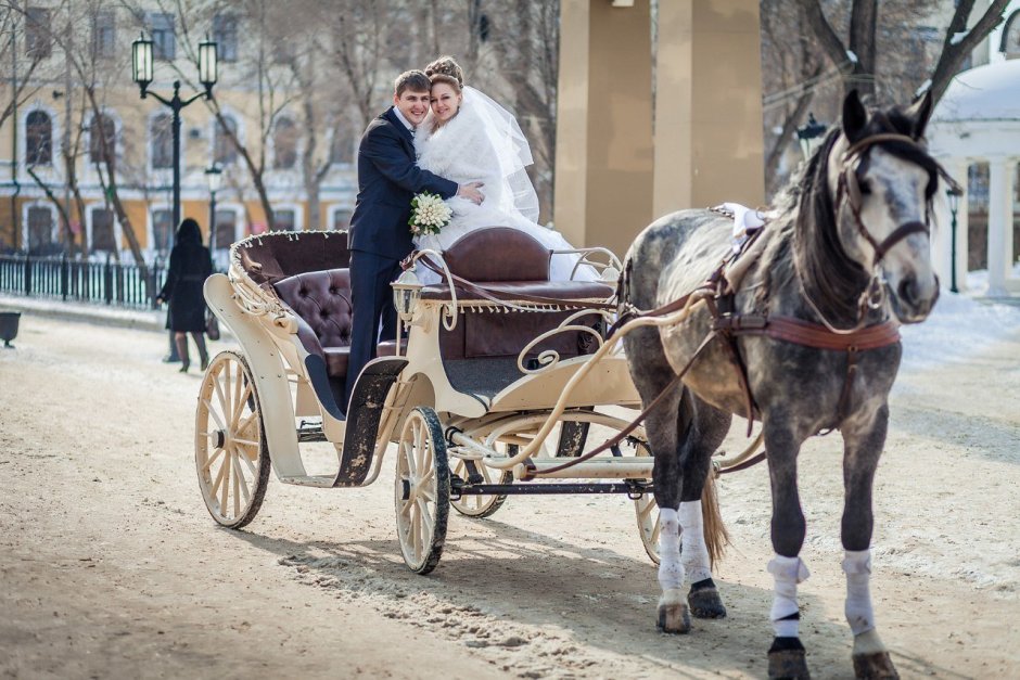 Карета Дилижанс Петергоф