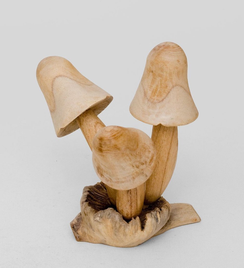Лесные грибы в корзинке