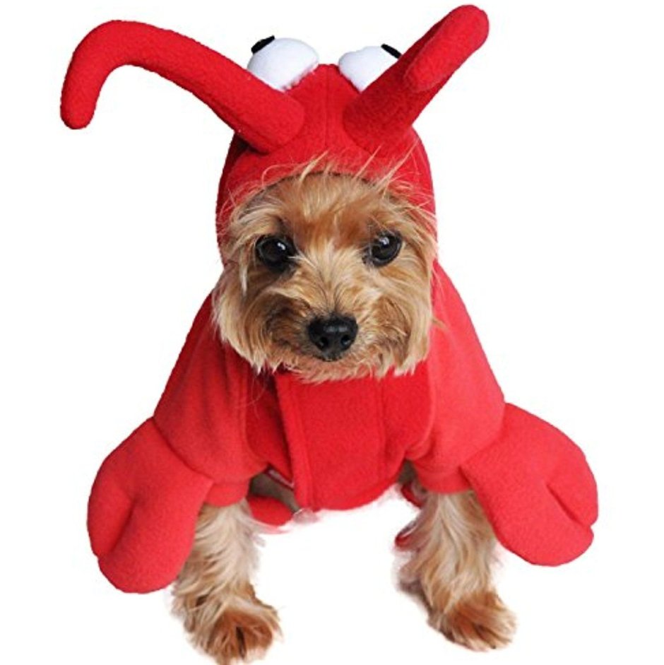 Новогодний костюм для маленькой собаки