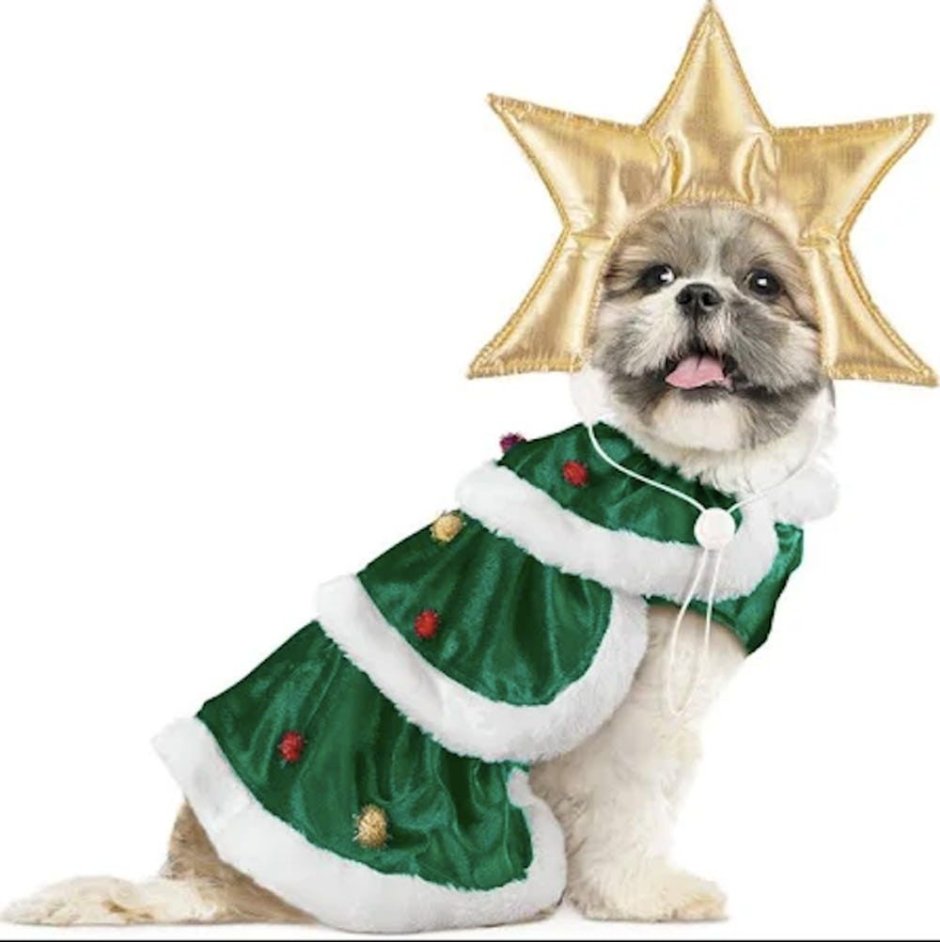 Новогодний костюм для собаки