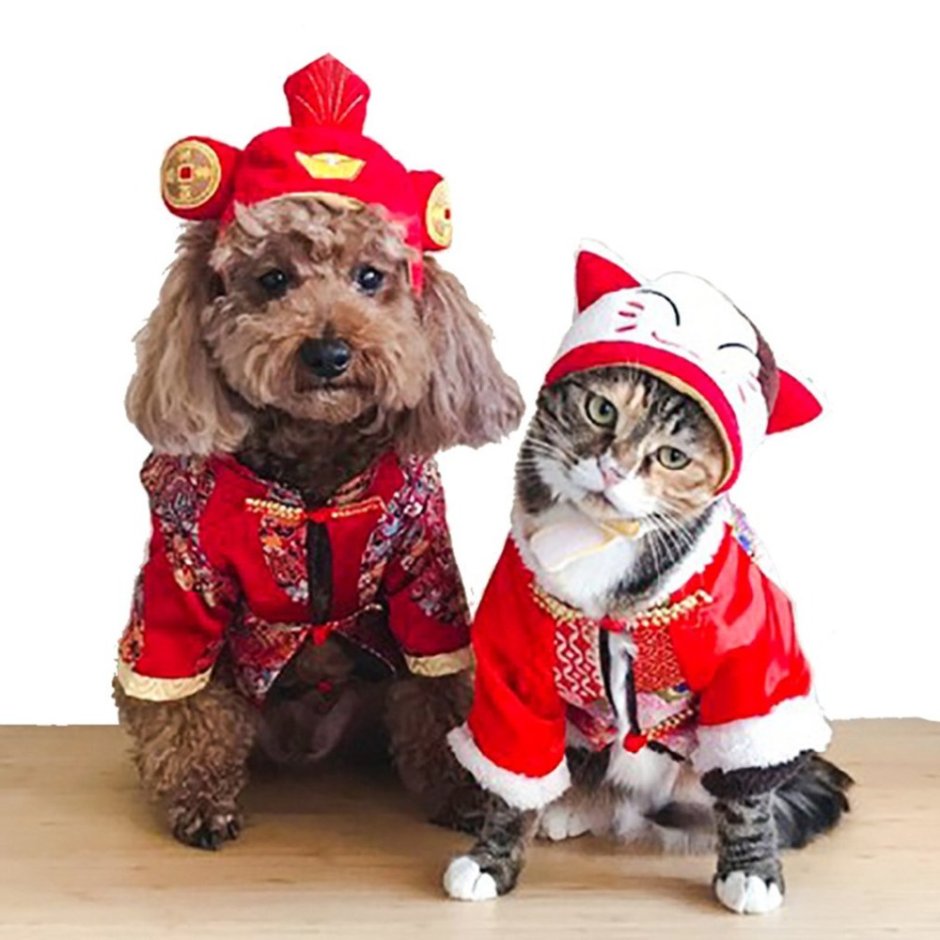 Новогодние костюмы для собак и кошек